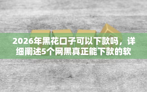 2026年黑花口子可以下款吗，详细阐述5个网黑真正能下款的软件