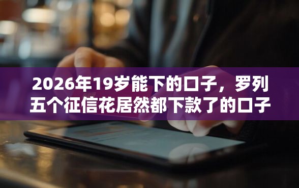2026年19岁能下的口子，罗列五个征信花居然都下款了的口子