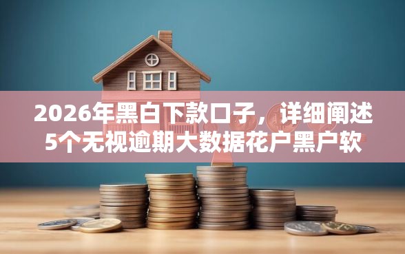 2026年黑白下款口子，详细阐述5个无视逾期大数据花户黑户软件