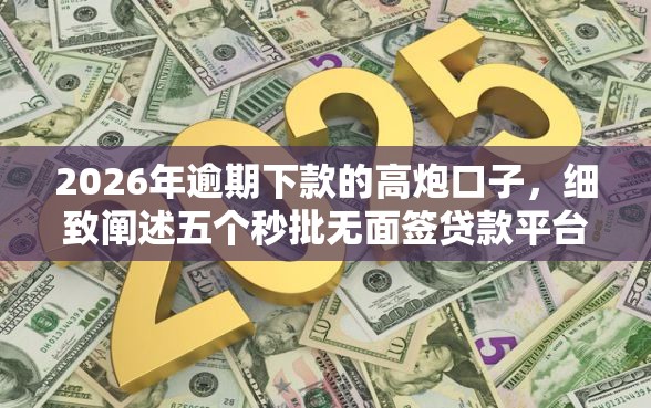 2026年逾期下款的高炮口子，细致阐述五个秒批无面签贷款平台