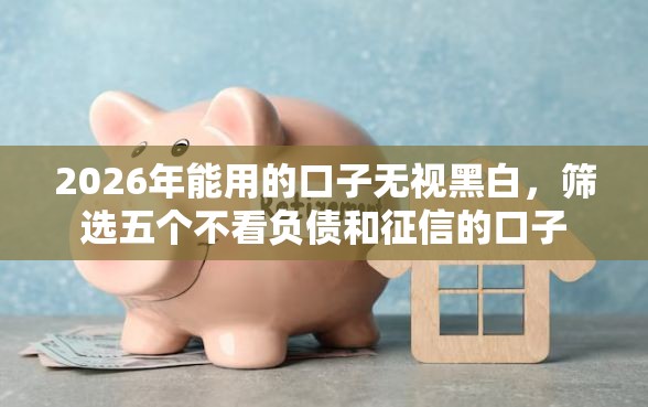 2026年能用的口子无视黑白，筛选五个不看负债和征信的口子