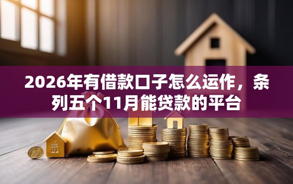 2026年有借款口子怎么运作,条列五个11月能贷款的平台 2026年有借款口子怎么运作,条列五个11月能贷款的平台