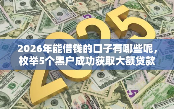 2026年能借钱的口子有哪些呢，枚举5个黑户成功获取大额贷款的平台