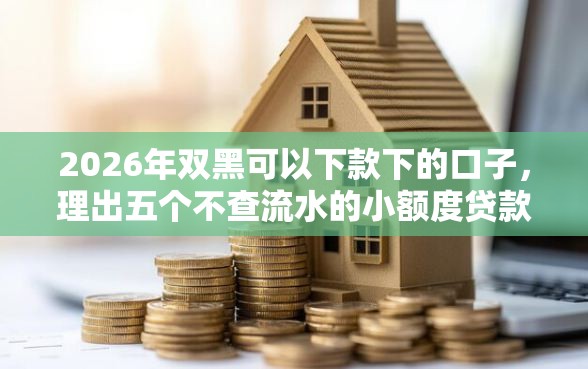 2026年双黑可以下款下的口子，理出五个不查流水的小额度贷款口子