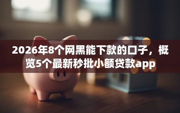 2026年8个网黑能下款的口子，概览5个最新秒批小额贷款app