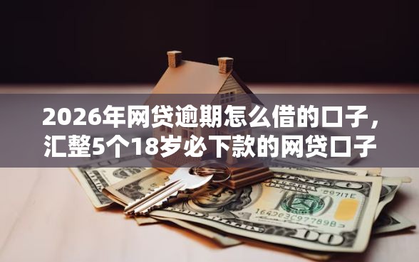 2026年网贷逾期怎么借的口子，汇整5个18岁必下款的网贷口子