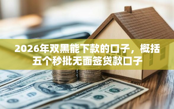 2026年双黑能下款的口子，概括五个秒批无面签贷款口子