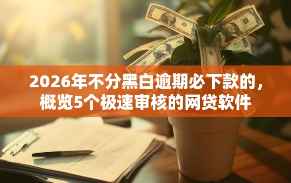 2026年不分黑白逾期必下款的，概览5个极速审核的网贷软件
