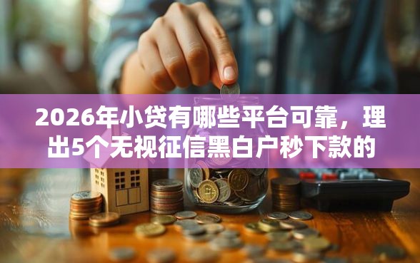 2026年小贷有哪些平台可靠，理出5个无视征信黑白户秒下款的贷款