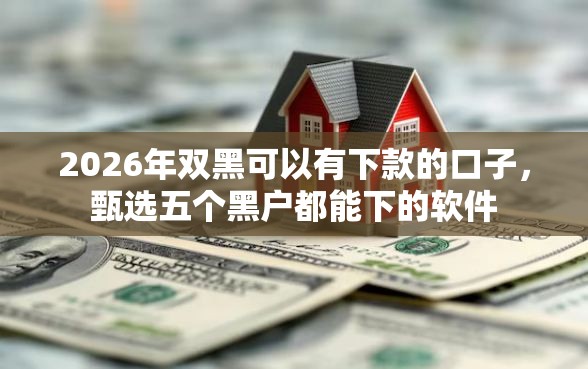 2026年双黑可以有下款的口子，甄选五个黑户都能下的软件