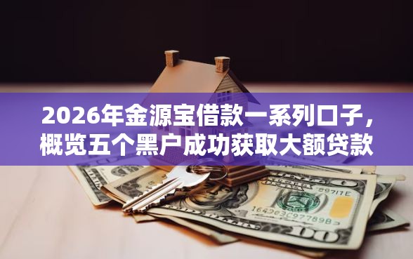 2026年金源宝借款一系列口子，概览五个黑户成功获取大额贷款的软件