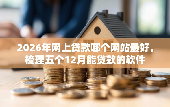 2026年网上贷款哪个网站最好，梳理五个12月能贷款的软件