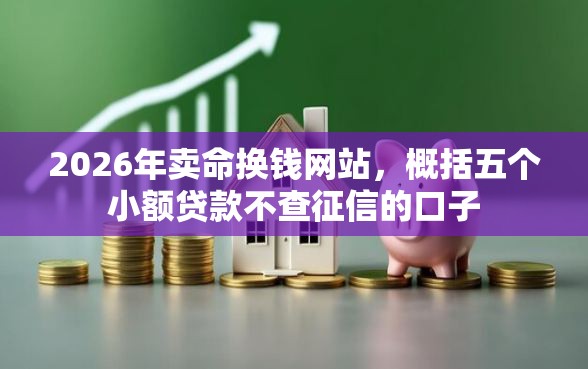 2026年卖命换钱网站，概括五个小额贷款不查征信的口子