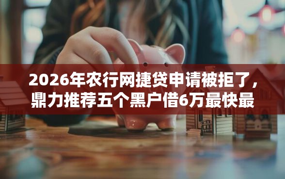 2026年农行网捷贷申请被拒了，鼎力推荐五个黑户借6万最快最直接的渠道