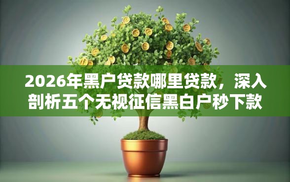 2026年黑户贷款哪里贷款，深入剖析五个无视征信黑白户秒下款的贷款