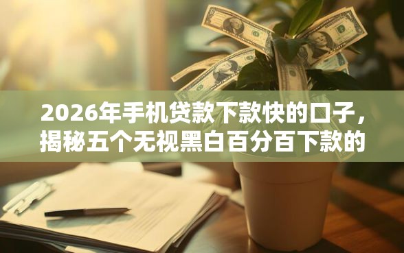 2026年手机贷款下款快的口子，揭秘五个无视黑白百分百下款的借款软件