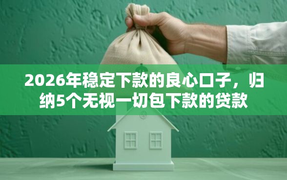 2026年稳定下款的良心口子，归纳5个无视一切包下款的贷款