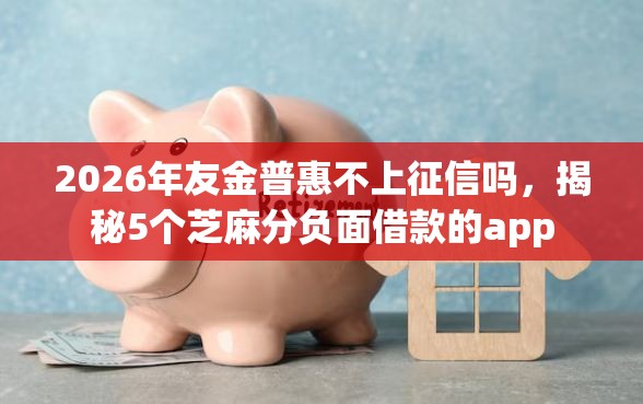 2026年友金普惠不上征信吗，揭秘5个芝麻分负面借款的app