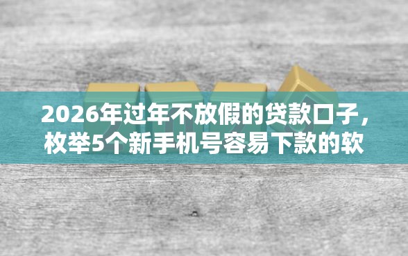 2026年过年不放假的贷款口子，枚举5个新手机号容易下款的软件