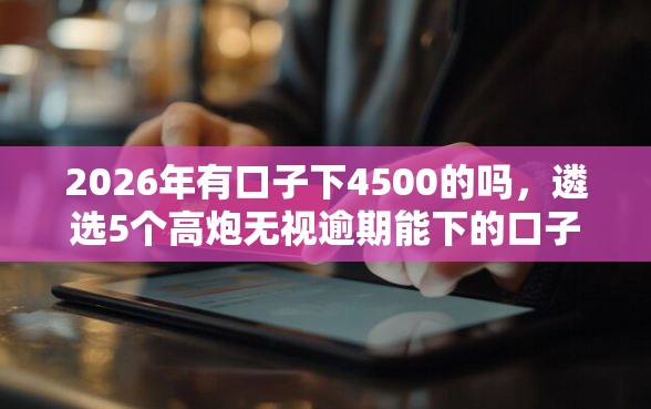 2026年有口子下4500的吗，遴选5个高炮无视逾期能下的口子