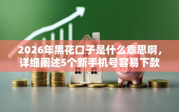 2026年黑花口子是什么意思啊，详细阐述5个新手机号容易下款的软件