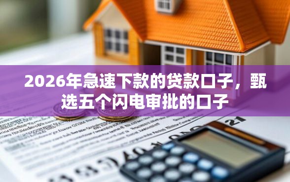 2026年急速下款的贷款口子，甄选五个闪电审批的口子