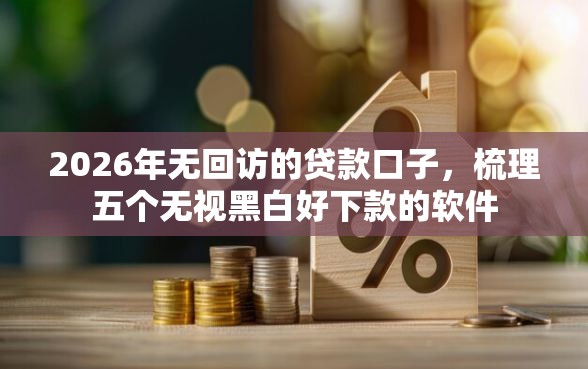2026年无回访的贷款口子,梳理五个无视黑白好下款的软件 2026年无回访的贷款口子,梳理五个无视黑白好下款的软件