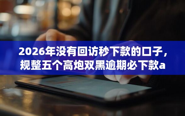 2026年没有回访秒下款的口子，规整五个高炮双黑逾期必下款app