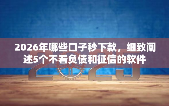 2026年哪些口子秒下款，细致阐述5个不看负债和征信的软件