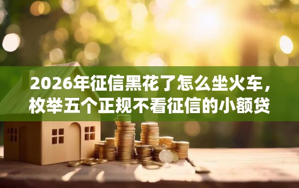 2026年征信黑花了怎么坐火车,枚举五个正规不看征信的小额贷款app 2026年征信黑花了怎么坐火车,枚举五个正规不看征信的小额贷款app