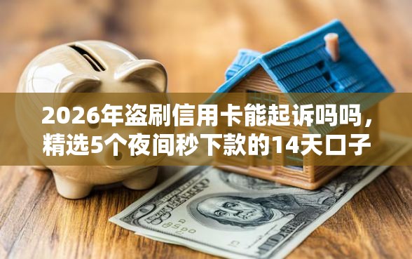 2026年盗刷信用卡能起诉吗吗，精选5个夜间秒下款的14天口子