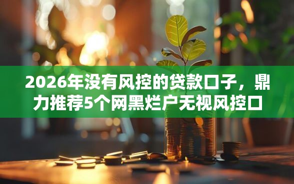 2026年没有风控的贷款口子，鼎力推荐5个网黑烂户无视风控口子