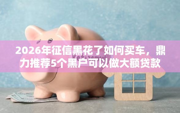 2026年征信黑花了如何买车，鼎力推荐5个黑户可以做大额贷款软件