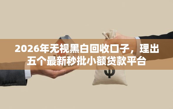 2026年无视黑白回收口子，理出五个最新秒批小额贷款平台