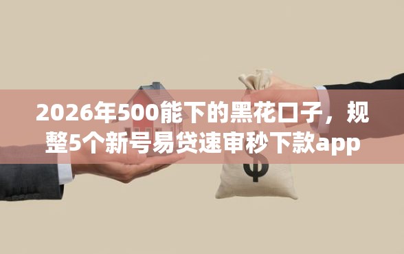 2026年500能下的黑花口子，规整5个新号易贷速审秒下款app