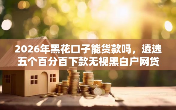 2026年黑花口子能货款吗，遴选五个百分百下款无视黑白户网贷平台