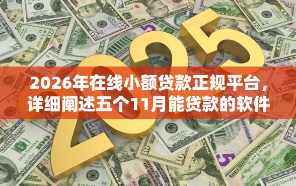 2026年在线小额贷款正规平台，详细阐述五个11月能贷款的软件