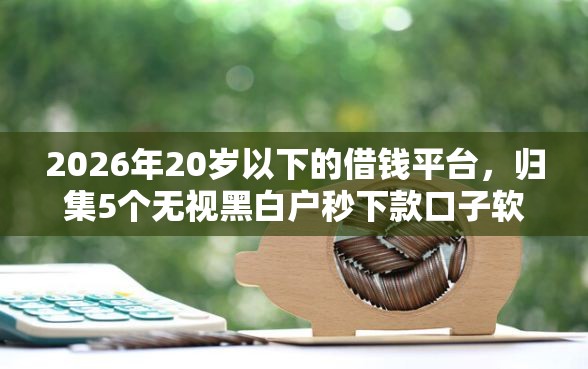2026年20岁以下的借钱平台，归集5个无视黑白户秒下款口子软件