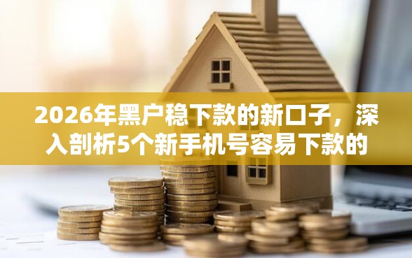 2026年黑户稳下款的新口子，深入剖析5个新手机号容易下款的平台
