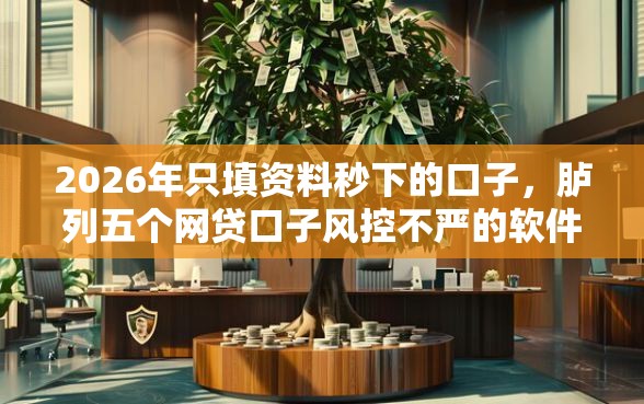 2026年只填资料秒下的口子，胪列五个网贷口子风控不严的软件
