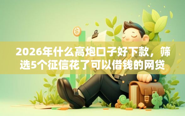 2026年什么高炮口子好下款，筛选5个征信花了可以借钱的网贷口子