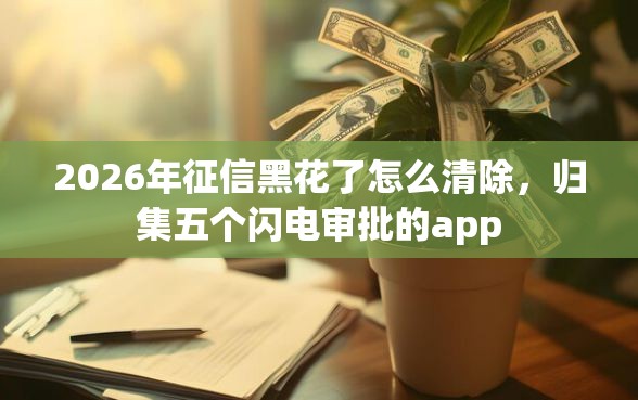 2026年征信黑花了怎么清除，归集五个闪电审批的app