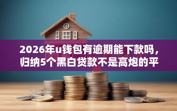 2026年u钱包有逾期能下款吗，归纳5个黑白贷款不是高炮的平台