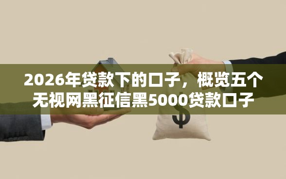 2026年贷款下的口子，概览五个无视网黑征信黑5000贷款口子
