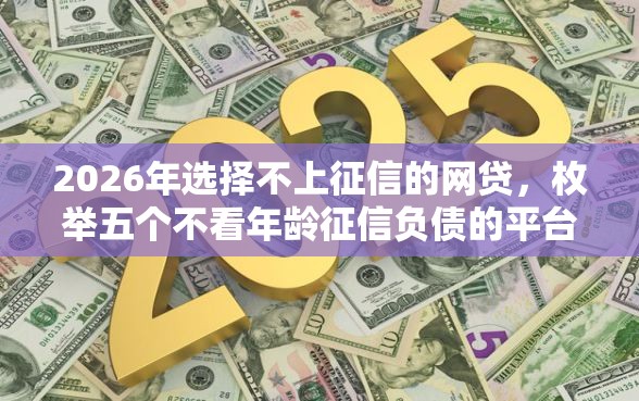 2026年选择不上征信的网贷，枚举五个不看年龄征信负债的平台