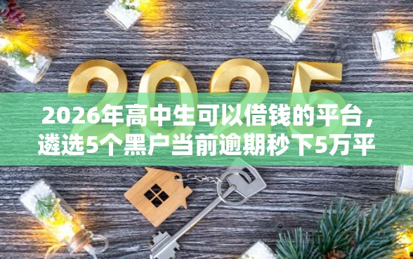 2026年高中生可以借钱的平台，遴选5个黑户当前逾期秒下5万平台