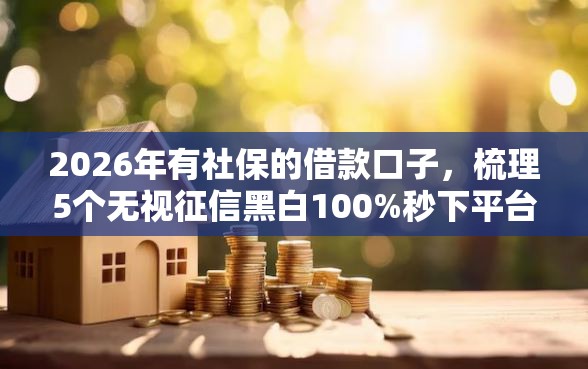 2026年有社保的借款口子，梳理5个无视征信黑白100%秒下平台