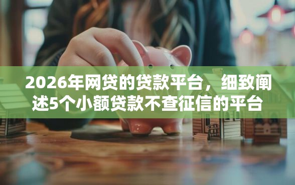 2026年网贷的贷款平台，细致阐述5个小额贷款不查征信的平台