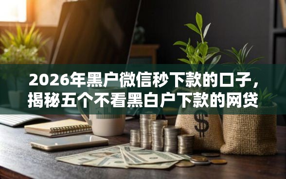 2026年黑户微信秒下款的口子，揭秘五个不看黑白户下款的网贷