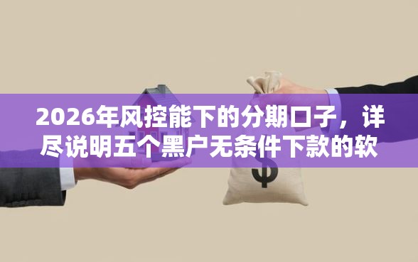 2026年风控能下的分期口子，详尽说明五个黑户无条件下款的软件